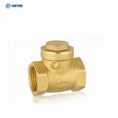 Ppr Brass Horizontal Flapper Check Valve Check Water Pipe Valve Fittings Dn15